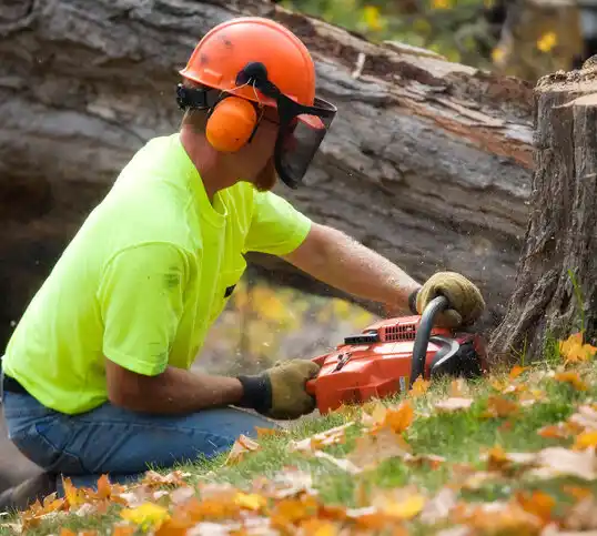 tree services Elmont